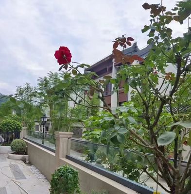 อลูมิเนียมยืดหยุ่น U Channel Glass Railing ภายนอก