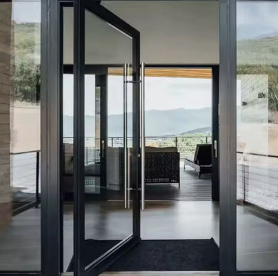 Y/N หนังแมลง ประตูสวิงอลูมิเนียมที่มีกระจกใสแบบกระชับสองแบบและล็อคแม่เหล็ก